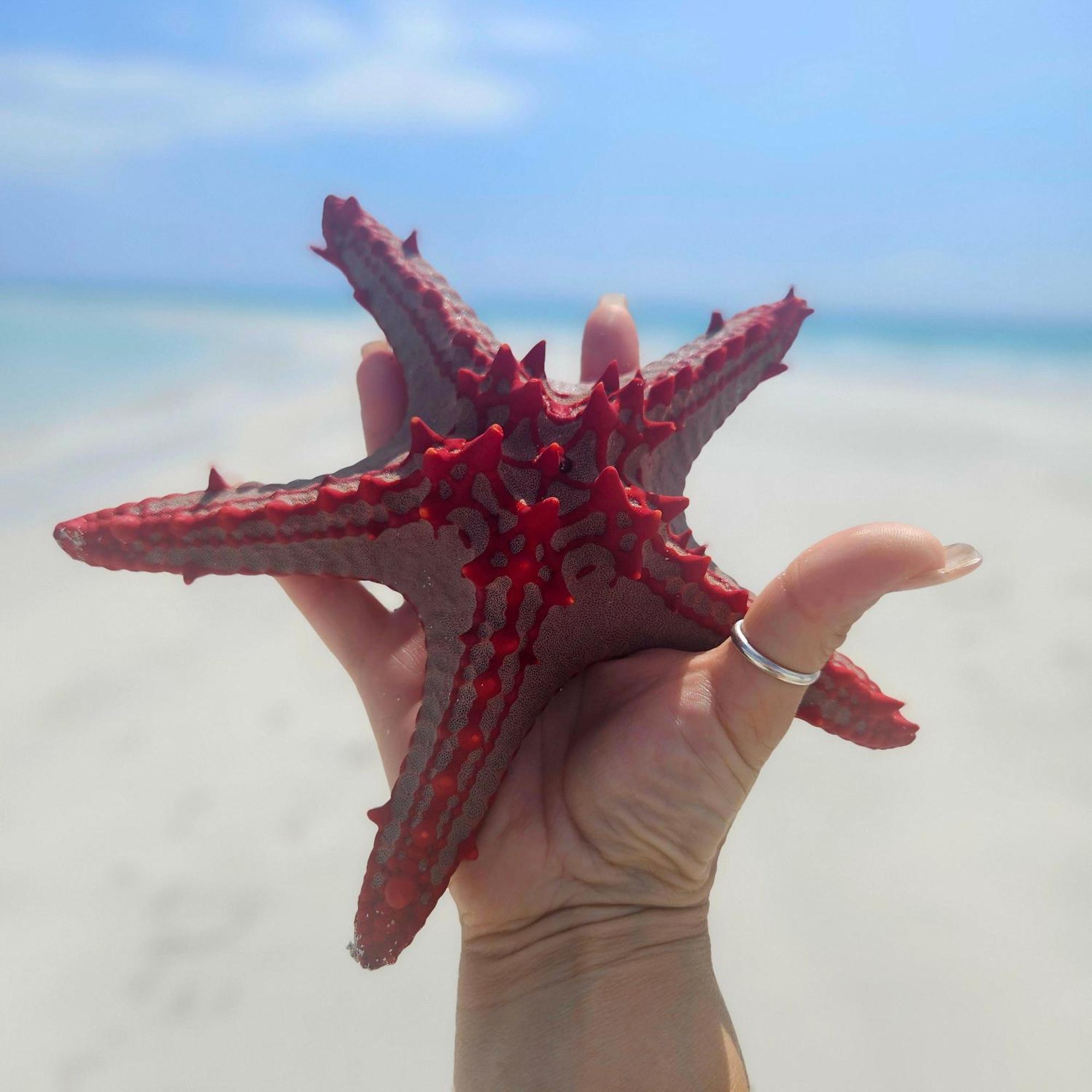 Maharaja Boutique Zanzibar Курортный комплекс Ероа